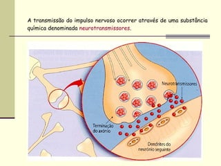 A transmissão do impulso nervoso ocorrer através de uma substância química denominada  neurotransmissores . 