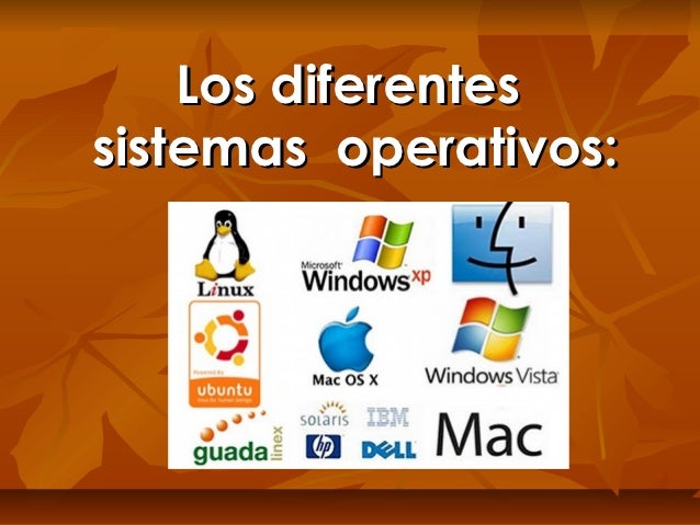 Los diferentes sistemas operativos en un ordenador.