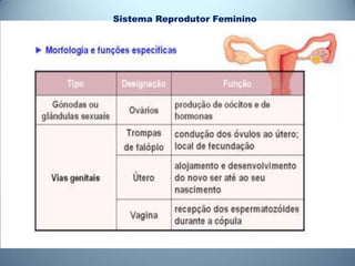 Sistema Reprodutor Feminino