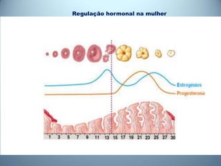 Regulação hormonal na mulher