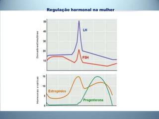 Regulação hormonal na mulher