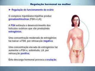 Regulação hormonal na mulher