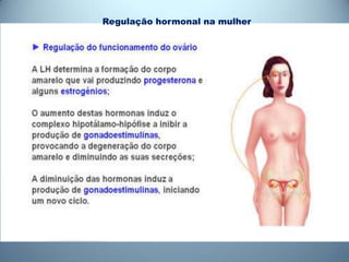 Regulação hormonal na mulher