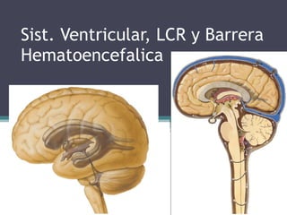 Sist. Ventricular, LCR y Barrera Hematoencefalica 