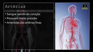 Artérias
• Sangue saindo do coração
• Possuem maior pressão
• Arteríolas são artérias finas
 