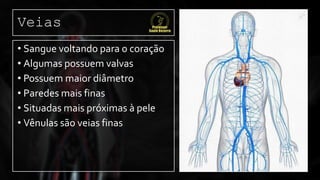 Veias
• Sangue voltando para o coração
• Algumas possuem valvas
• Possuem maior diâmetro
• Paredes mais finas
• Situadas mais próximas à pele
• Vênulas são veias finas
 