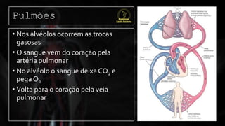 Pulmões
• Nos alvéolos ocorrem as trocas
gasosas
• O sangue vem do coração pela
artéria pulmonar
• No alvéolo o sangue deixa CO2 e
pega O2
• Volta para o coração pela veia
pulmonar
 