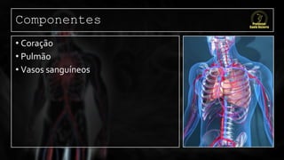 Componentes
• Coração
• Pulmão
• Vasos sanguíneos
 
