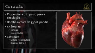 Coração
• Proporciona o impulso para a
circulação
• Bombeia cerca de 5300L por dia
• 4 câmaras:
• 2 átrios
• 2 ventrículos
• Contração:
• Sístole (ventrículos)
• Diástole (átrios)
 