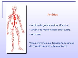 Artérias Artéria de grande calibre (Elástica). Artéria de médio calibre (Muscular). Arteríola. Vasos eferentes que transportam sangue do coração para os leitos capilares 