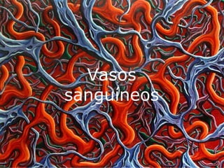 Vasos sanguíneos 