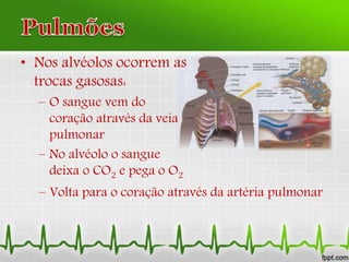 • Nos alvéolos ocorrem as
trocas gasosas:
– O sangue vem do
coração através da veia
pulmonar
– No alvéolo o sangue
deixa o CO2 e pega o O2
– Volta para o coração através da artéria pulmonar
 