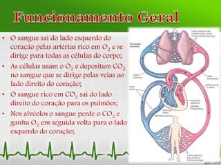 • O sangue sai do lado esquerdo do
coração pelas artérias rico em O2 e se
dirige para todas as células do corpo;
• As células usam o O2 e depositam CO2
no sangue que se dirige pelas veias ao
lado direito do coração;
• O sangue rico em CO2 sai do lado
direito do coração para os pulmões;
• Nos alvéolos o sangue perde o CO2 e
ganha O2 em seguida volta para o lado
esquerdo do coração;
 