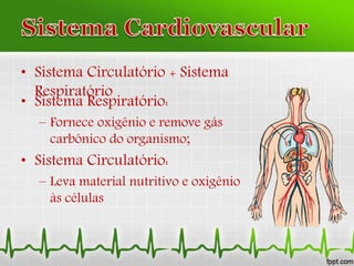 • Sistema Circulatório + Sistema
Respiratório
• Sistema Respiratório:
– Fornece oxigênio e remove gás
carbônico do organismo;
• Sistema Circulatório:
– Leva material nutritivo e oxigênio
às células
 