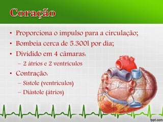 • Proporciona o impulso para a circulação;
• Bombeia cerca de 5.300l por dia;
• Dividido em 4 câmaras:
– 2 átrios e 2 ventrículos
• Contração:
– Sístole (ventrículos)
– Diástole (átrios)
 