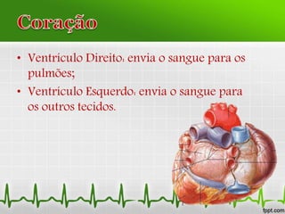 • Ventrículo Direito: envia o sangue para os
pulmões;
• Ventrículo Esquerdo: envia o sangue para
os outros tecidos.
 