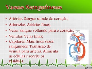 • Artérias: Sangue saindo do coração;
• Arteríolas: Artérias finas;
• Veias: Sangue voltando para o coração;
• Vênulas: Veias finas;
• Capilares: Mais finos vasos
sanguíneos. Transição de
vênula para artéria. Alimenta
as células e recebe os
resíduos.
 
