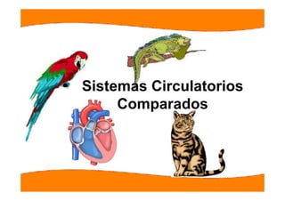 Sistemas Circulatorios
     Comparados
     C       d
 