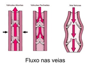 Fluxo nas veias
 