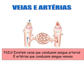 PSIU! Existem veias que conduzem sangue arterial
      E artérias que conduzem sangue venoso
 