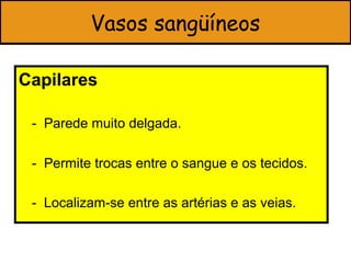 Vasos sangüíneos

Capilares

 - Parede muito delgada.

 - Permite trocas entre o sangue e os tecidos.

 - Localizam-se entre as artérias e as veias.
 