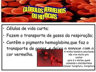 • Células de vida curta;
• Fazem o transporte de gases da respiração;
• Contêm o pigmento hemoglobina,que faz o
  transporte de gases, e deixa o sangue com a
                               A minha hemácia anucleada
  cor vermelha.                   não vive muito pra
                                                contar
                                         pois é o núcleo quem
                                       comanda o metabolismo
                                     Celular turapturu, turapturu
 
