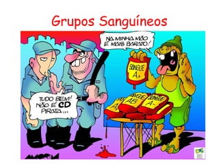 Grupos Sanguíneos
 