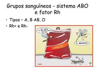 Grupos sanguíneos - sistema ABO
           e fator Rh
• Tipos – A, B AB, O
• Rh+ e Rh-
 