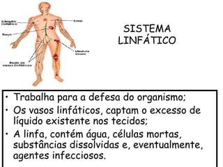 SISTEMA
                        LINFÁTICO




• Trabalha para a defesa do organismo;
• Os vasos linfáticos, captam o excesso de
  líquido existente nos tecidos;
• A linfa, contém água, células mortas,
  substâncias dissolvidas e, eventualmente,
  agentes infecciosos.
 