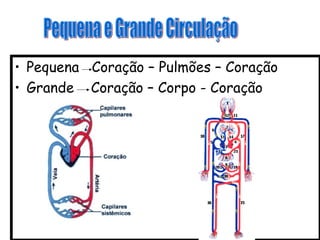 • Pequena Coração – Pulmões – Coração
• Grande Coração – Corpo - Coração
 