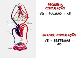 PEQUENA
  CIRCULAÇÃO
VD → PULMÃO → AE




 GRANDE CIRCULAÇÃO
  VE → SISTEMAS →
         AD
 