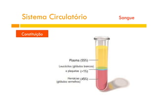 Sistema Circulatório Sangue
Constituição
 