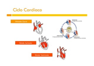 Diástole Geral
Sístole Auricular
Sístole Ventricular
Ciclo Cardíaco
 
