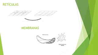 RETÍCULAS
MEMBRANAS
 