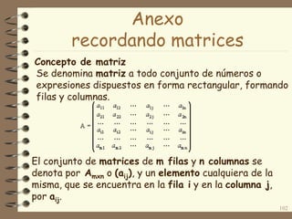Concepto de matriz
102
Se denomina matriz a todo conjunto de números o
expresiones dispuestos en forma rectangular, formando
filas y columnas.
El conjunto de matrices de m filas y n columnas se
denota por Amxn o (aij), y un elemento cualquiera de la
misma, que se encuentra en la fila i y en la columna j,
por aij.
Anexo
recordando matrices
 