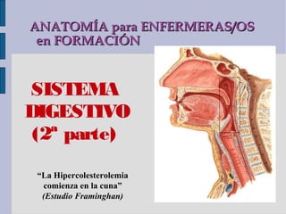 ANATOMÍA para ENFERMERAS/OS
 en FORMACIÓN


SISTEMA
DIGESTIVO
 (2ª parte)
 “La Hipercolesterolemia
  comienza en la cuna”
  (Estudio Framinghan)
 