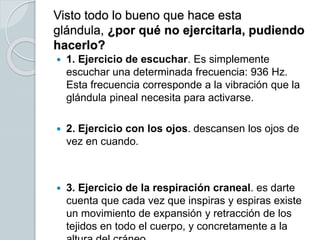 Visto todo lo bueno que hace esta
glándula, ¿por qué no ejercitarla, pudiendo
hacerlo?
 1. Ejercicio de escuchar. Es simplemente
escuchar una determinada frecuencia: 936 Hz.
Esta frecuencia corresponde a la vibración que la
glándula pineal necesita para activarse.
 2. Ejercicio con los ojos. descansen los ojos de
vez en cuando.
 3. Ejercicio de la respiración craneal. es darte
cuenta que cada vez que inspiras y espiras existe
un movimiento de expansión y retracción de los
tejidos en todo el cuerpo, y concretamente a la
 