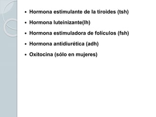  Hormona estimulante de la tiroides (tsh)
 Hormona luteinizante(lh)
 Hormona estimuladora de folículos (fsh)
 Hormona antidiurética (adh)
 Oxitocina (sólo en mujeres)
 