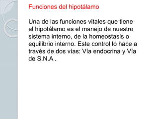 Funciones del hipotálamo
Una de las funciones vitales que tiene
el hipotálamo es el manejo de nuestro
sistema interno, de la homeostasis o
equilibrio interno. Este control lo hace a
través de dos vías: Vía endocrina y Vía
de S.N.A .
 