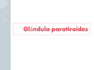 Glándula paratiroides
 