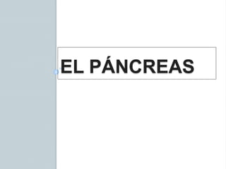 EL PÁNCREAS
 
