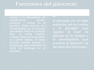 Funciones del páncreas:
El páncreas tiene funciones digestivas y hormonales:Las enzimas secretadas por el
tejido exocrino del páncreas
ayudan a la degradación de
carbohidratos, grasas,
proteínas y ácidos en el
duodeno. Estas enzimas son
transportadas por el conducto
pancreático hacia el conducto
biliar en forma inactiva.
Cuando entran en el duodeno,
se vuelven activas. El tejido
exocrino también secreta un
bicarbonato para neutralizar el
ácido del estómago en el
duodeno.
Las hormonas secretadas
en
el páncreas por el tejido
endocrino son la insulina
y el glucagón (que
regulan el nivel de
glucosa en la sangre) y
la somatostatina (que
previene la liberación de
las otras dos hormonas).
 