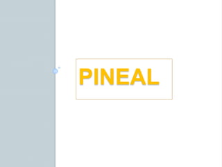 PINEAL
 