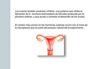 Los ovarios también producen inhibina, una proteína que inhibe la
liberación de lo hormona estimuladora de folículos producida por la
pituitaria anterior, y que ayuda a controlar el desarrollo de los óvulos.
El cambio más común en las hormonas ováricas ocurre con el inicio de
la menopausia que es parte del proceso natural del envejecimiento.
 