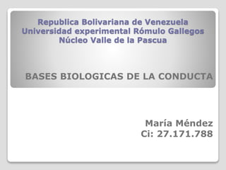 Republica Bolivariana de Venezuela
Universidad experimental Rómulo Gallegos
Núcleo Valle de la Pascua
BASES BIOLOGICAS DE LA CONDUCTA
María Méndez
Ci: 27.171.788
 