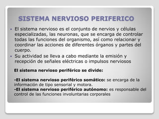 SISTEMA NERVIOSO PERIFERICO
 El sistema nervioso es el conjunto de nervios y células
especializadas, las neuronas, que se encarga de controlar
todas las funciones del organismo, así como relacionar y
coordinar las acciones de diferentes órganos y partes del
cuerpo.
 Su actividad se lleva a cabo mediante la emisión y
recepción de señales eléctricas o impulsos nerviosos
El sistema nervioso periférico se divide:
-El sistema nervioso periférico somático: se encarga de la
información de tipo sensorial y motora.
-El sistema nervioso periférico autónomo: es responsable del
control de las funciones involuntarias corporales
 