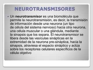 NEUROTRANSMISORES
 Un neurotransmisor es una biomolécula que
permite la neurotransmisión, es decir, la transmisión
de información desde una neurona (un tipo
de célula del sistema nervioso) hacia otra neurona,
una célula muscular o una glándula, mediante
la sinapsis que los separa. El neurotransmisor se
libera desde las vesículas sinápticas en la
extremidad de la neurona pre-sináptica, hacia la
sinapsis, atraviesa el espacio sináptico y actúa
sobre los receptores celulares específicos de la
célula objetivo
 