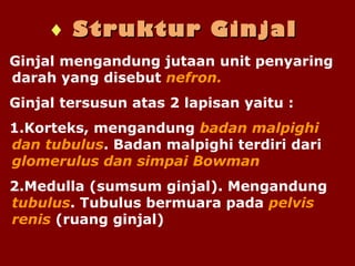 ♦ Struktur GinjalStruktur Ginjal
Ginjal mengandung jutaan unit penyaring
darah yang disebut nefron.
Ginjal tersusun atas 2 lapisan yaitu :
1.Korteks, mengandung badan malpighi
dan tubulus. Badan malpighi terdiri dari
glomerulus dan simpai Bowman
2.Medulla (sumsum ginjal). Mengandung
tubulus. Tubulus bermuara pada pelvis
renis (ruang ginjal)
 