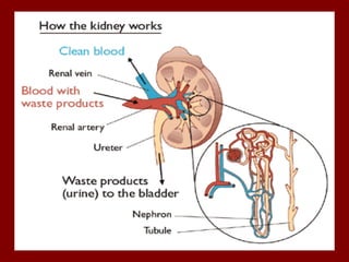 Apr 19, 2016Apr 19, 2016
 