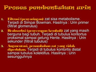 Proses pembentukan urinProses pembentukan urin
1.1. Filtrasi (penyaringan)Filtrasi (penyaringan) zat sisa metabolisme.zat sisa metabolisme.
Terjadi di Simpai Bowman. Hasilnya : Urin primerTerjadi di Simpai Bowman. Hasilnya : Urin primer
(filtrat glomerulus)(filtrat glomerulus)
2.2. Reabsorbsi (penyerapan kembali)Reabsorbsi (penyerapan kembali) zat yang masihzat yang masih
berguna bagi tubuh. Terjadi di tubulus kontortusberguna bagi tubuh. Terjadi di tubulus kontortus
proksimal sampai gelung Henle. Hasilnya : Urinproksimal sampai gelung Henle. Hasilnya : Urin
sekunder (filtrat tubulus)sekunder (filtrat tubulus)
3.3. Augmentasi, penambahan zat yang tidakAugmentasi, penambahan zat yang tidak
diperlukan.diperlukan. Terjadi di tubulus kontortis distalTerjadi di tubulus kontortis distal
sampai tubulus kolektifus. Hasilnya : Urinsampai tubulus kolektifus. Hasilnya : Urin
sesungguhnyasesungguhnya
 